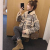 Lamb Plush Coat And Fur Coat Women